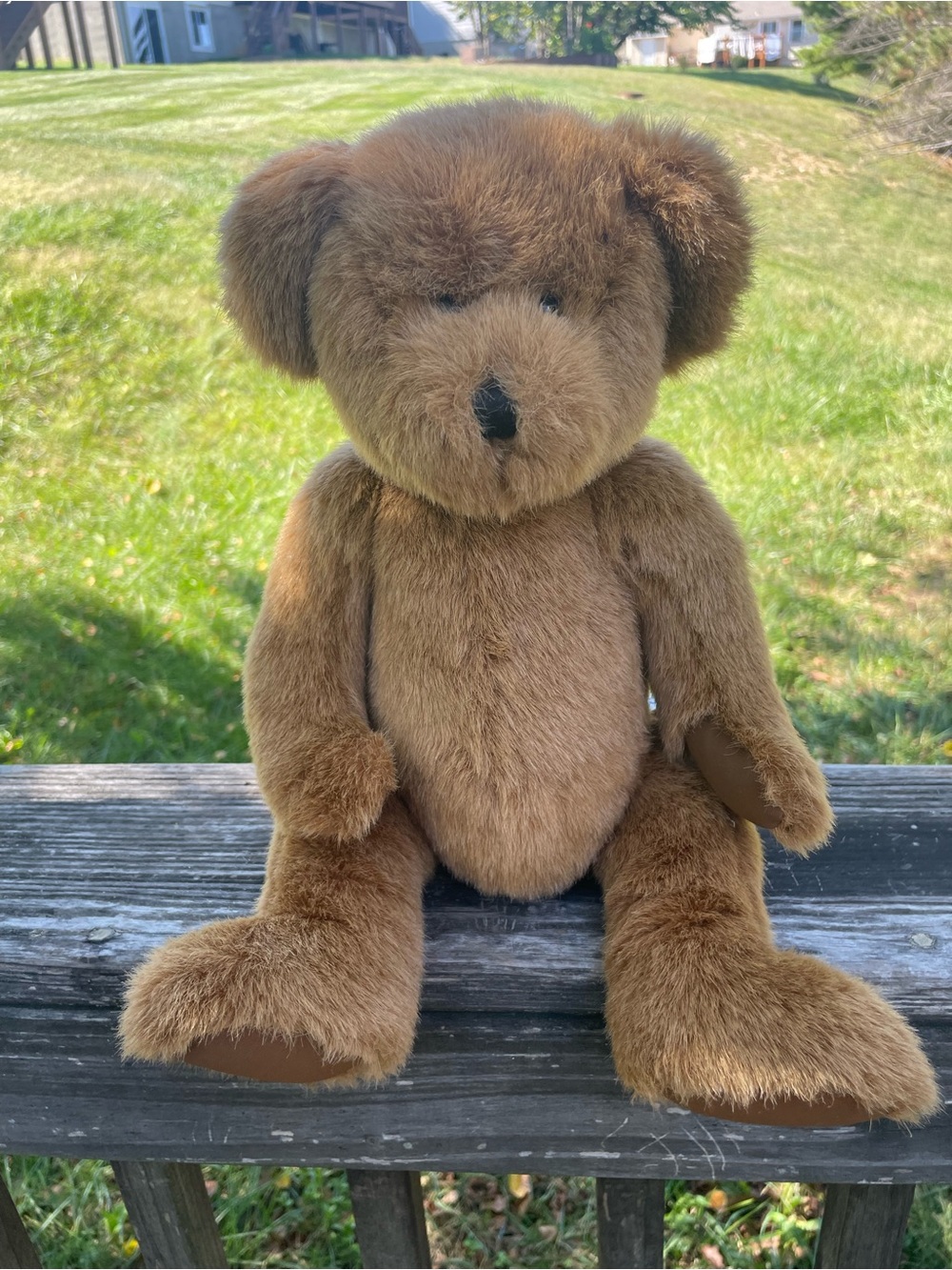 Build-A-Bear Plush Teddy in Brown